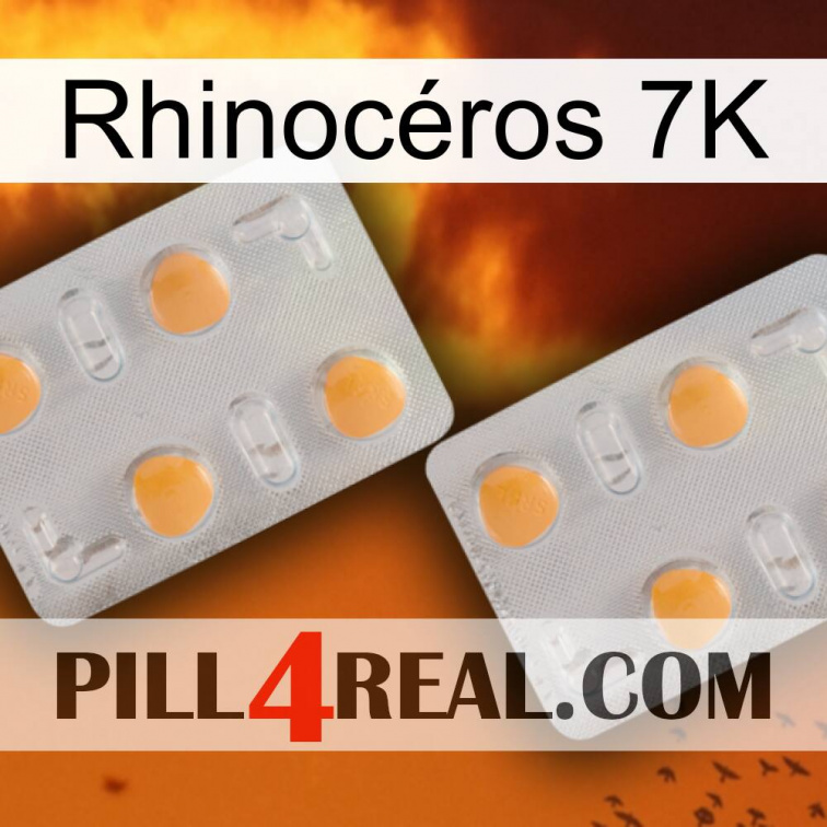 Rhinocéros 7K 25